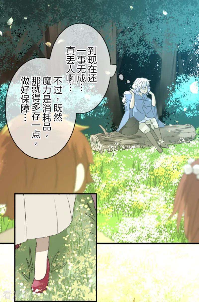 他和她的魔法契约216话 过去篇30