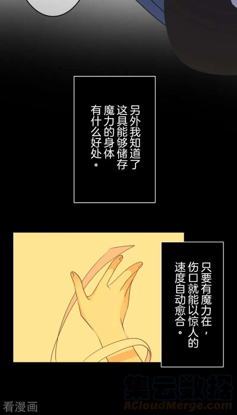 他和她的魔法契约216话 过去篇30