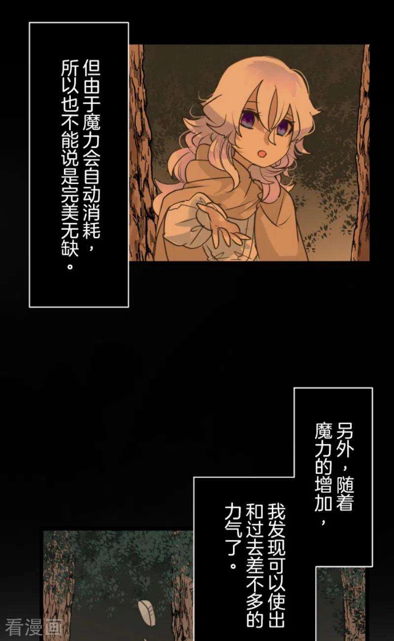 他和她的魔法契约216话 过去篇30