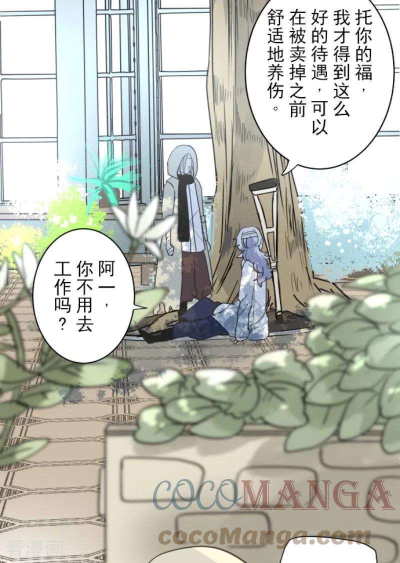 他和她的魔法契约220话 过去篇31