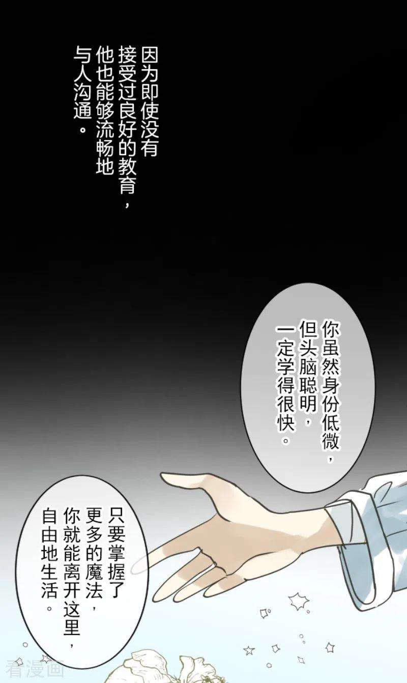 他和她的魔法契约220话 过去篇31