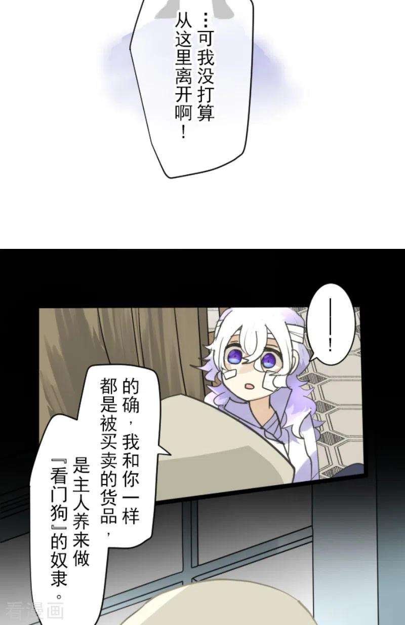 他和她的魔法契约220话 过去篇31