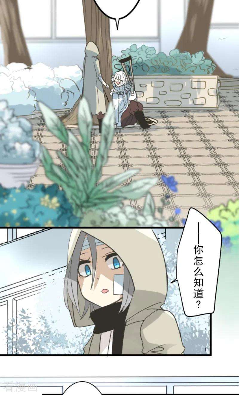 他和她的魔法契约220话 过去篇31