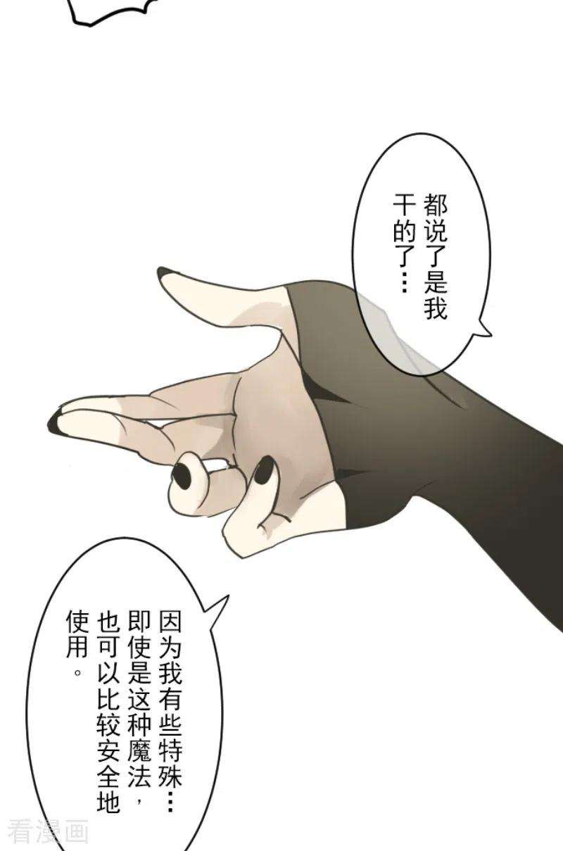他和她的魔法契约222话 艾尔的条件