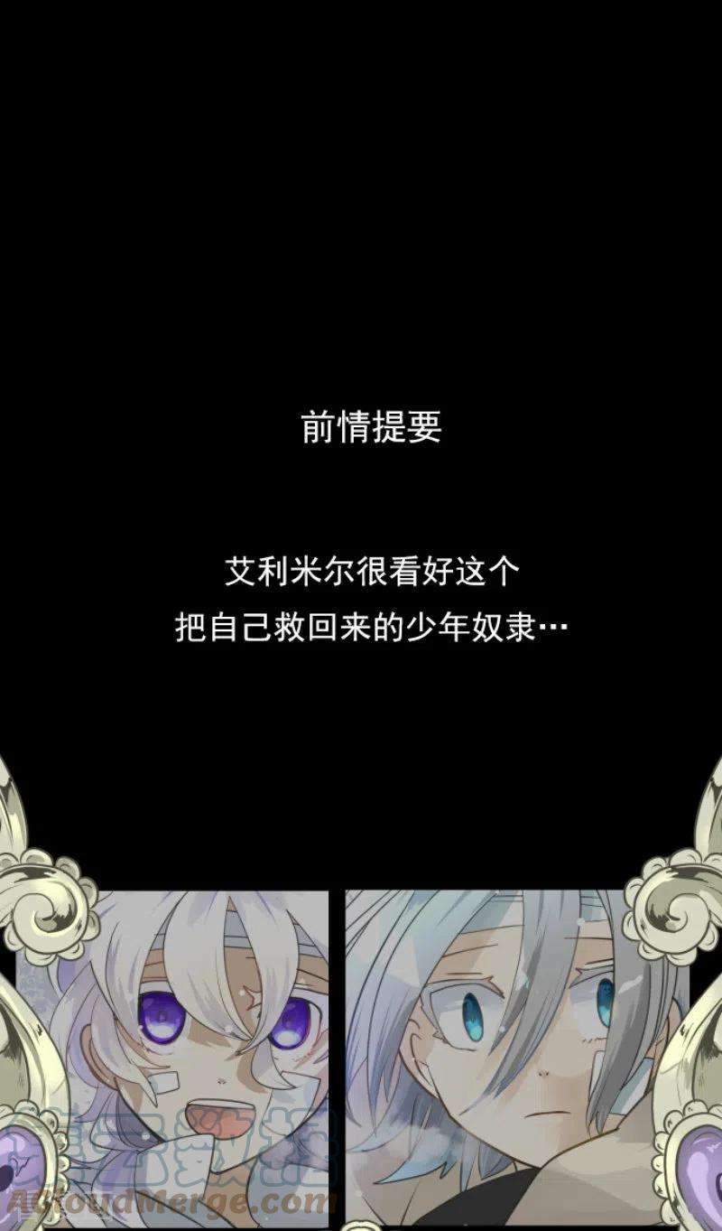 他和她的魔法契约225话 过去篇32