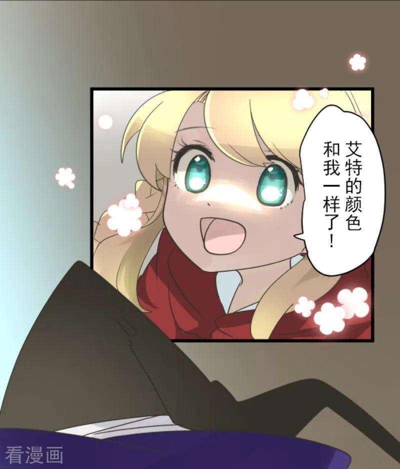 他和她的魔法契约235话 护身符