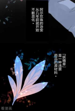 他和她的魔法契约241话 过去篇35