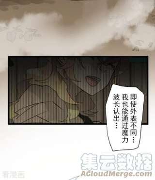 他和她的魔法契约243话 阿尔坎珠的真实