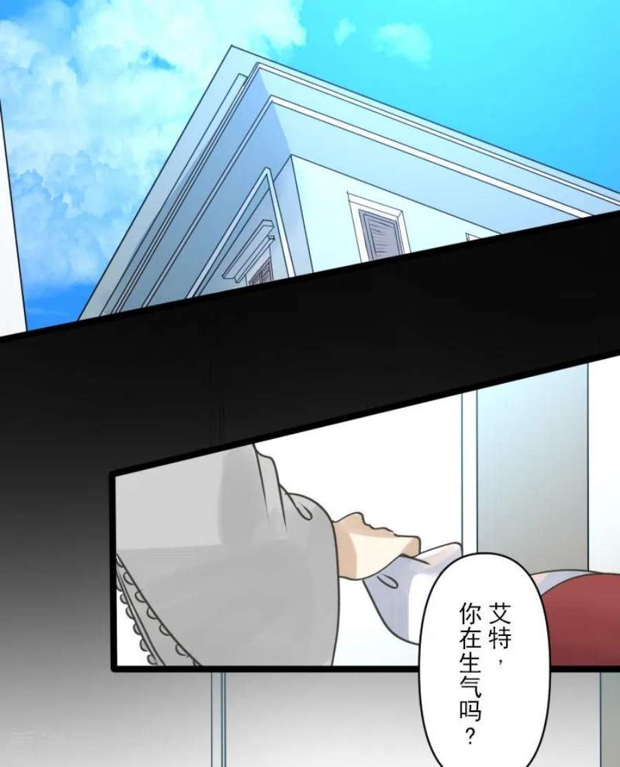 他和她的魔法契约245话 全民公投