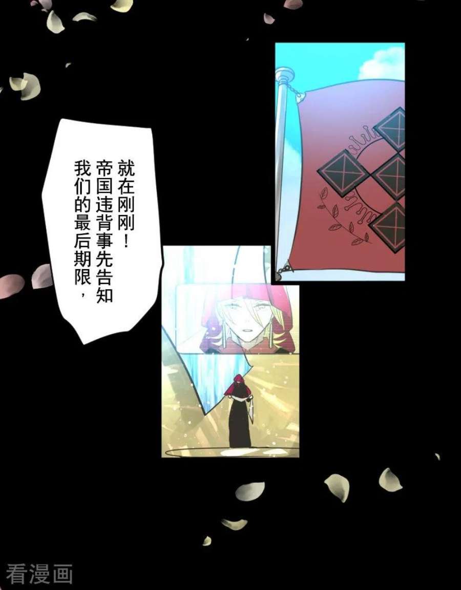 他和她的魔法契约246话 国王的选择