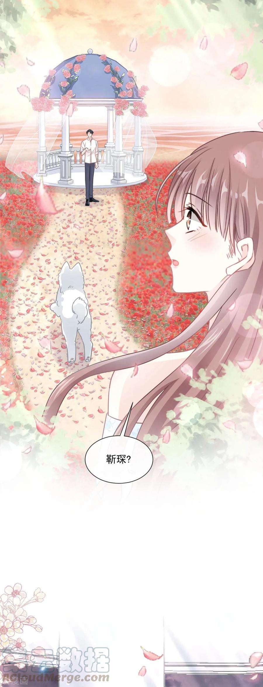 霸道总裁轻轻爱160话 心动的清晨