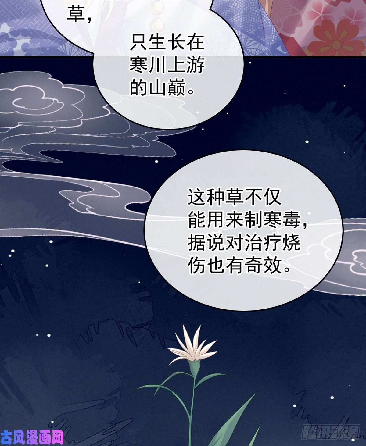 女帝的后宫奇怪的CP增加了