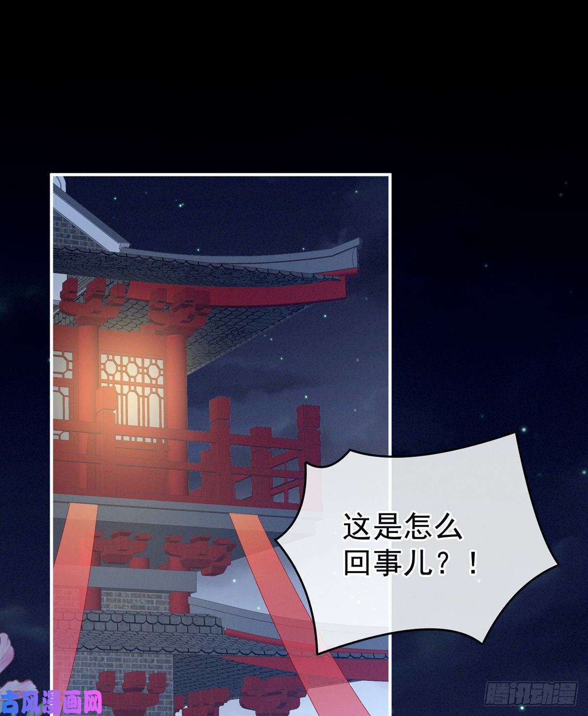 女帝的后宫奇怪的CP增加了