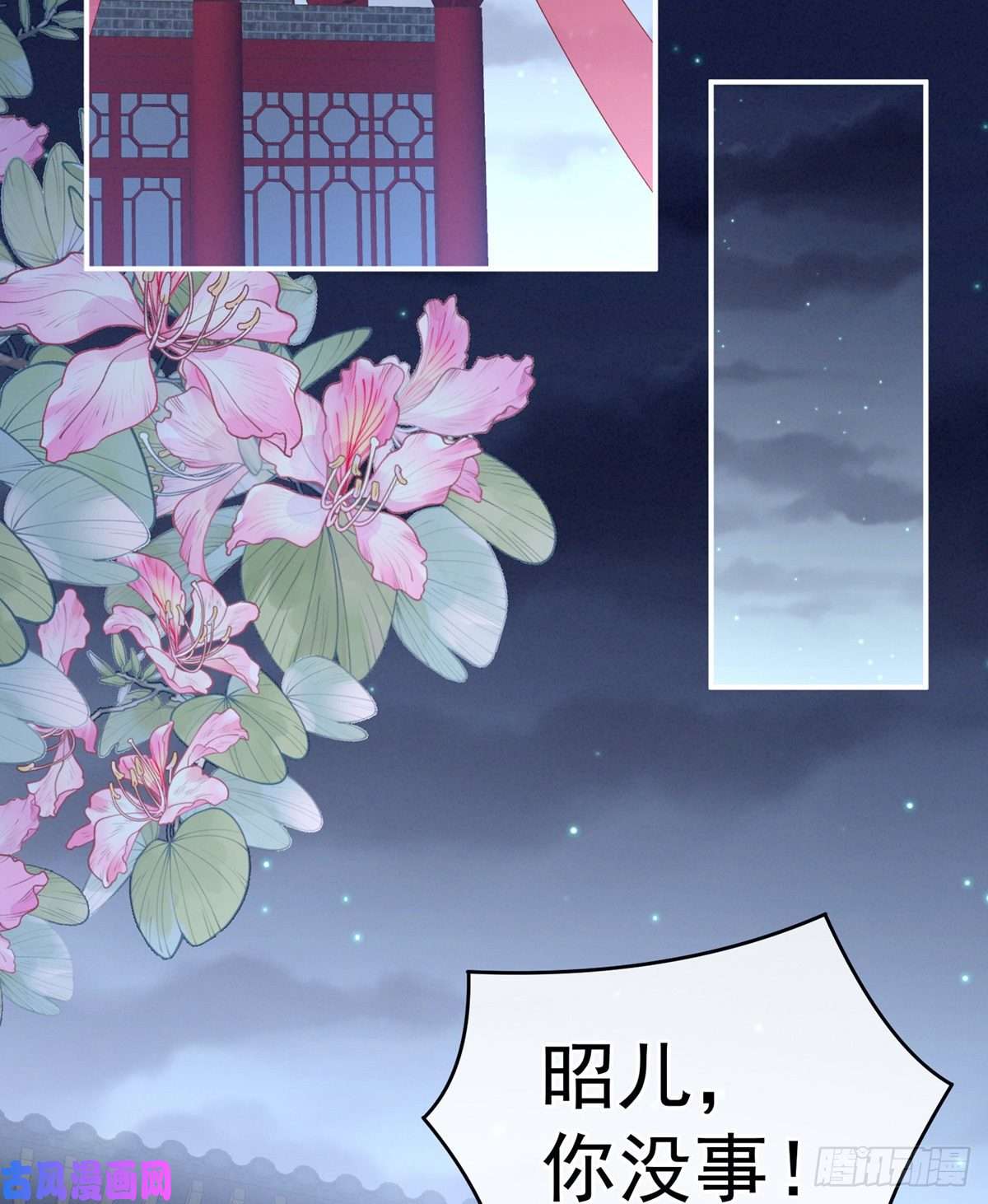 女帝的后宫奇怪的CP增加了
