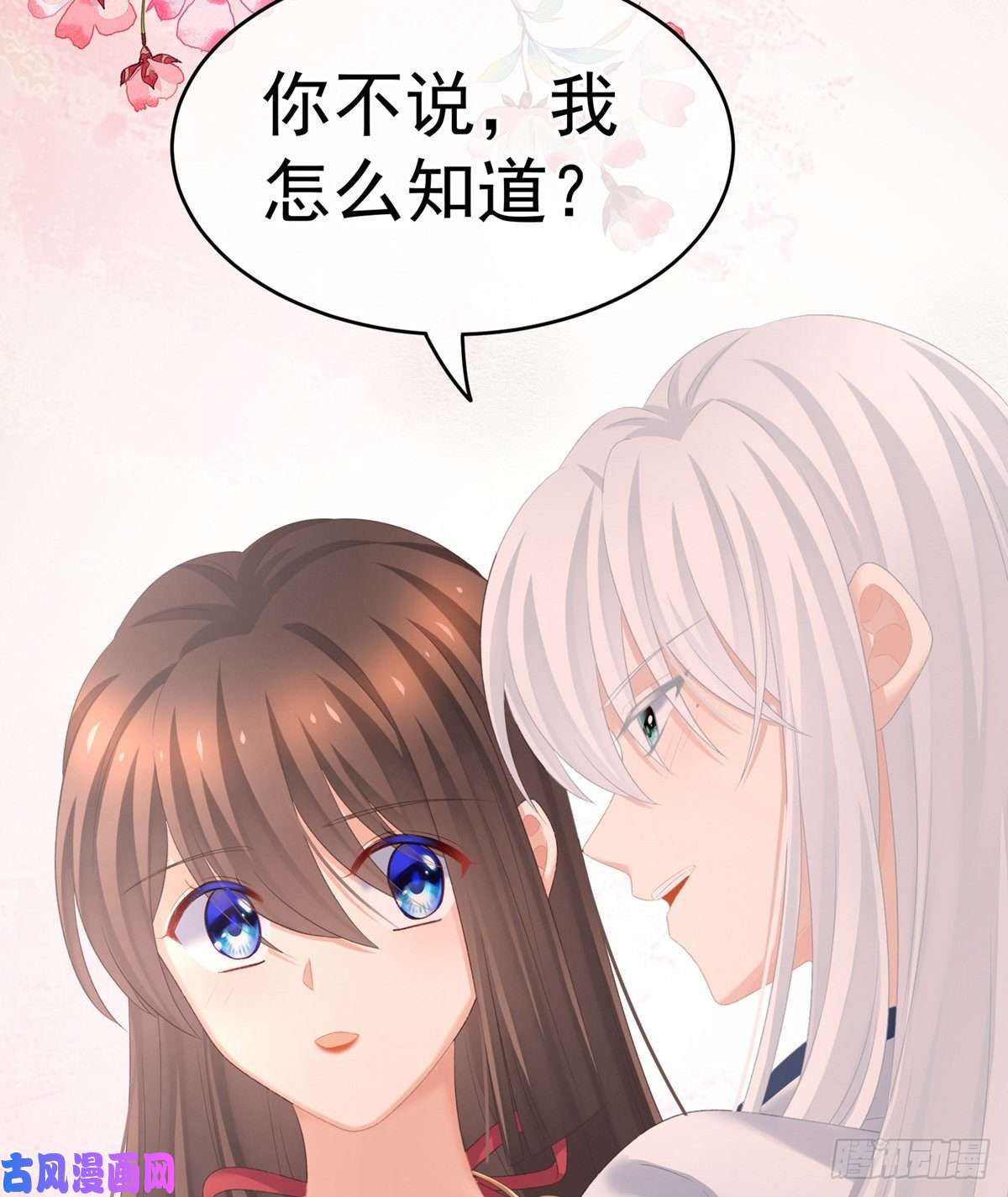 女帝的后宫不行哦，不给你看~