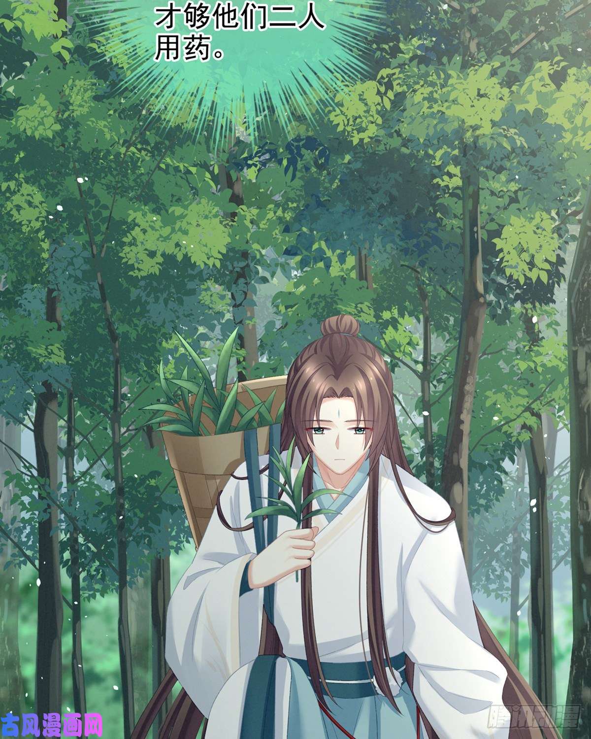 女帝的后宫哄睡