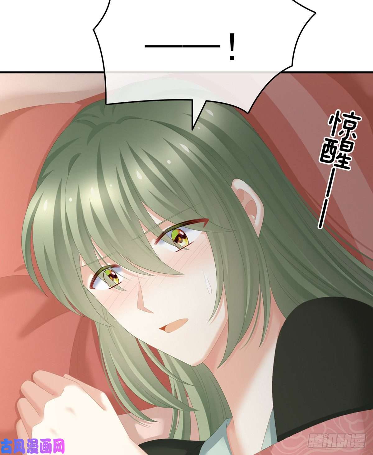 女帝的后宫乖，配合我