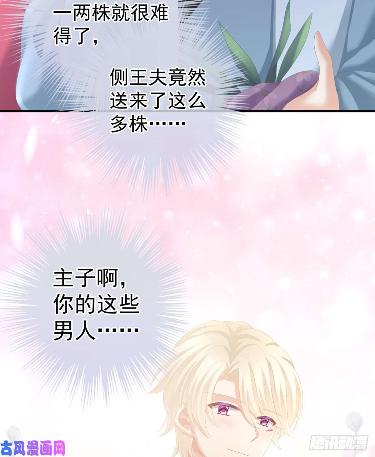 女帝的后宫乖，配合我