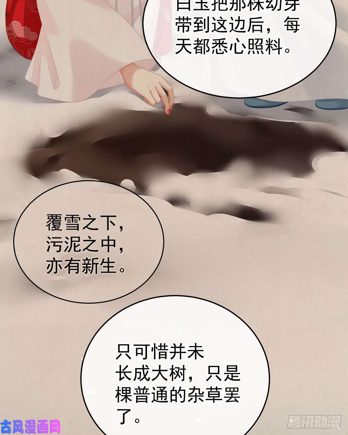 女帝的后宫抱我