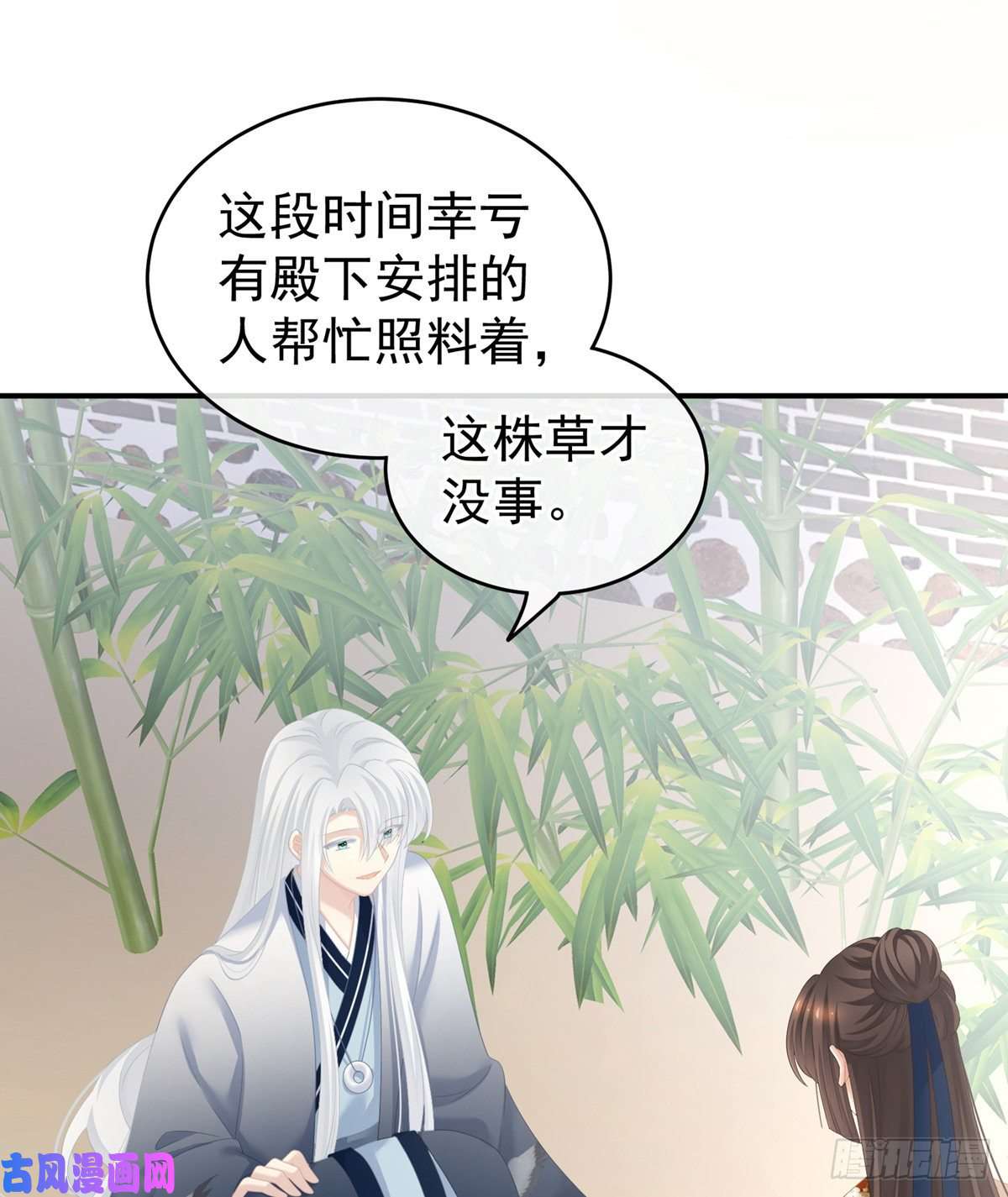女帝的后宫嫁给她如何？