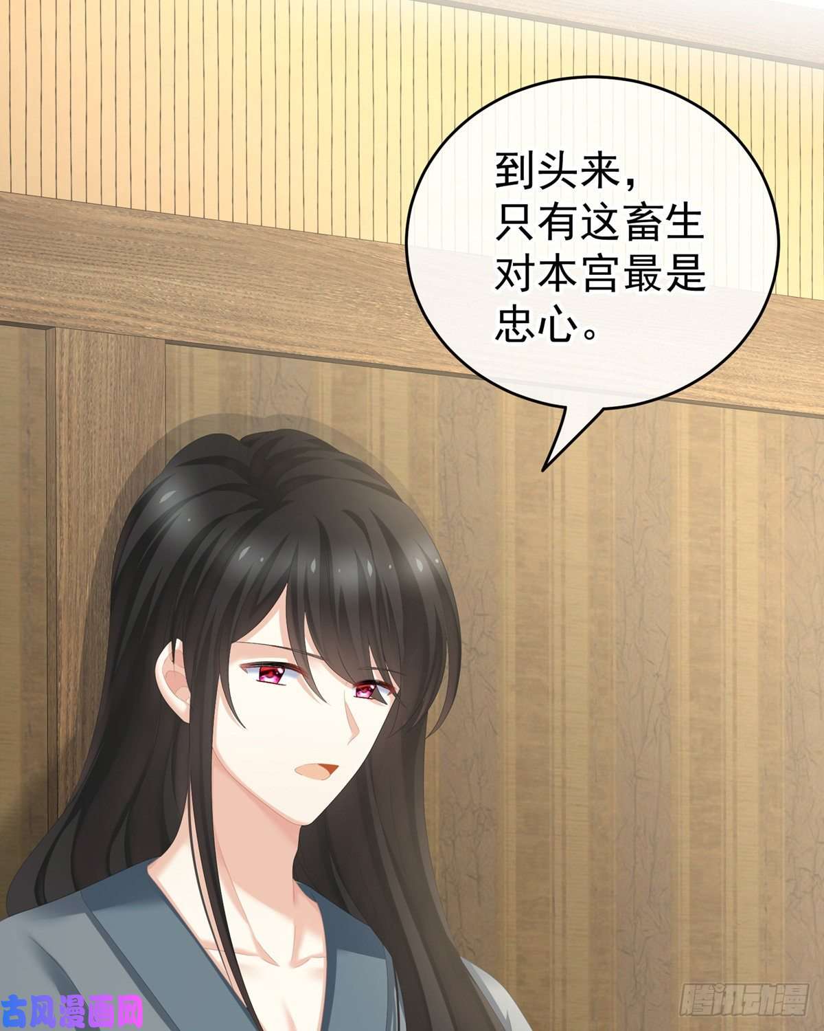 女帝的后宫冷宫弃侍