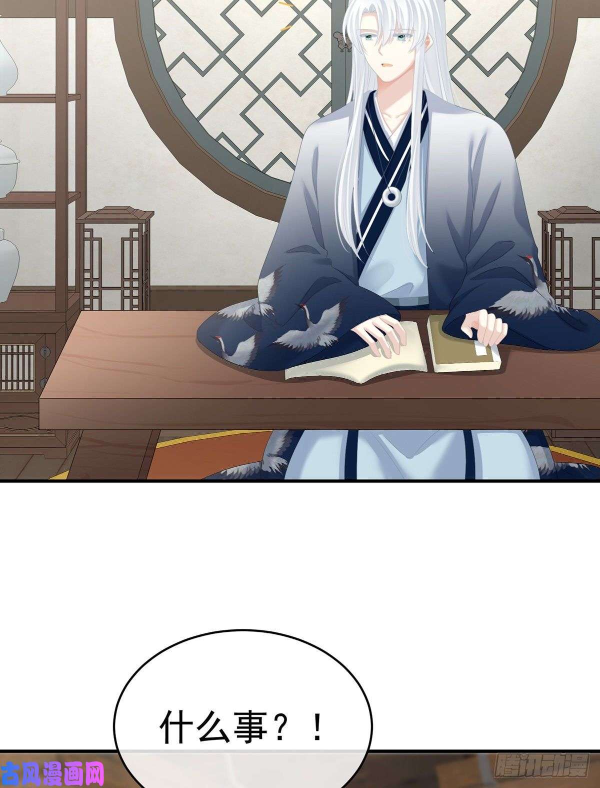 女帝的后宫殓心入棺