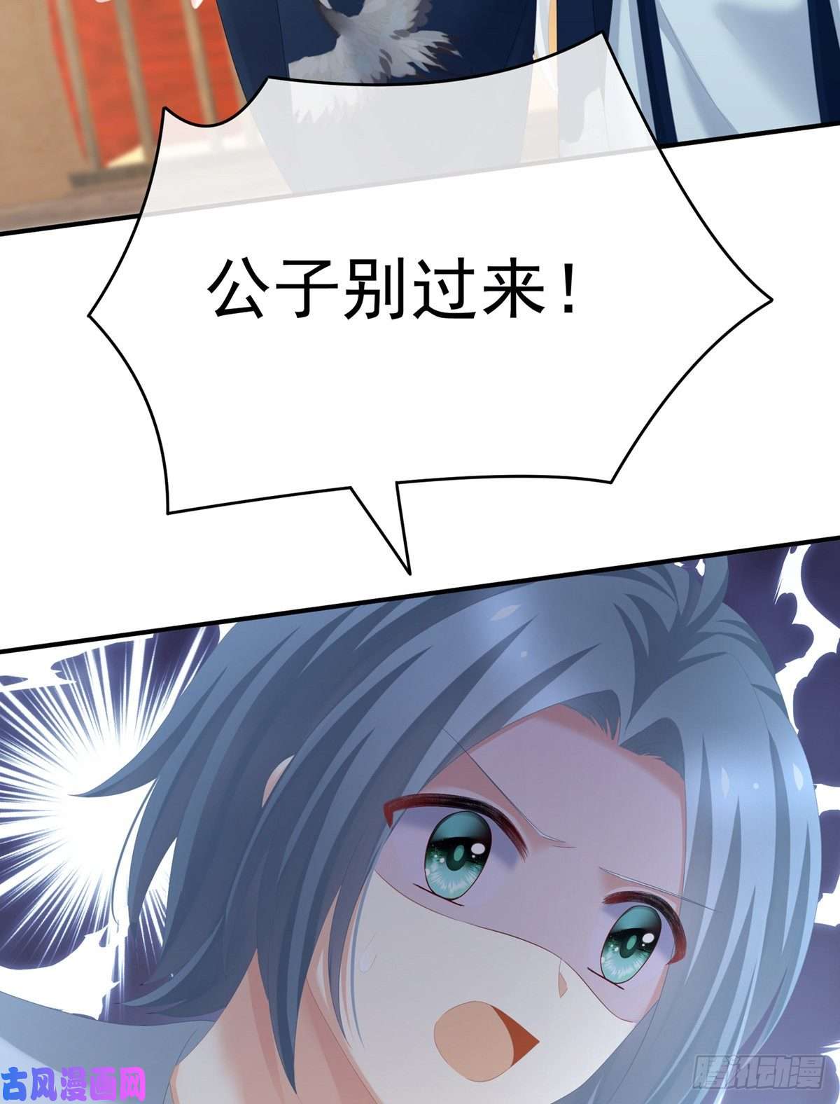女帝的后宫殓心入棺