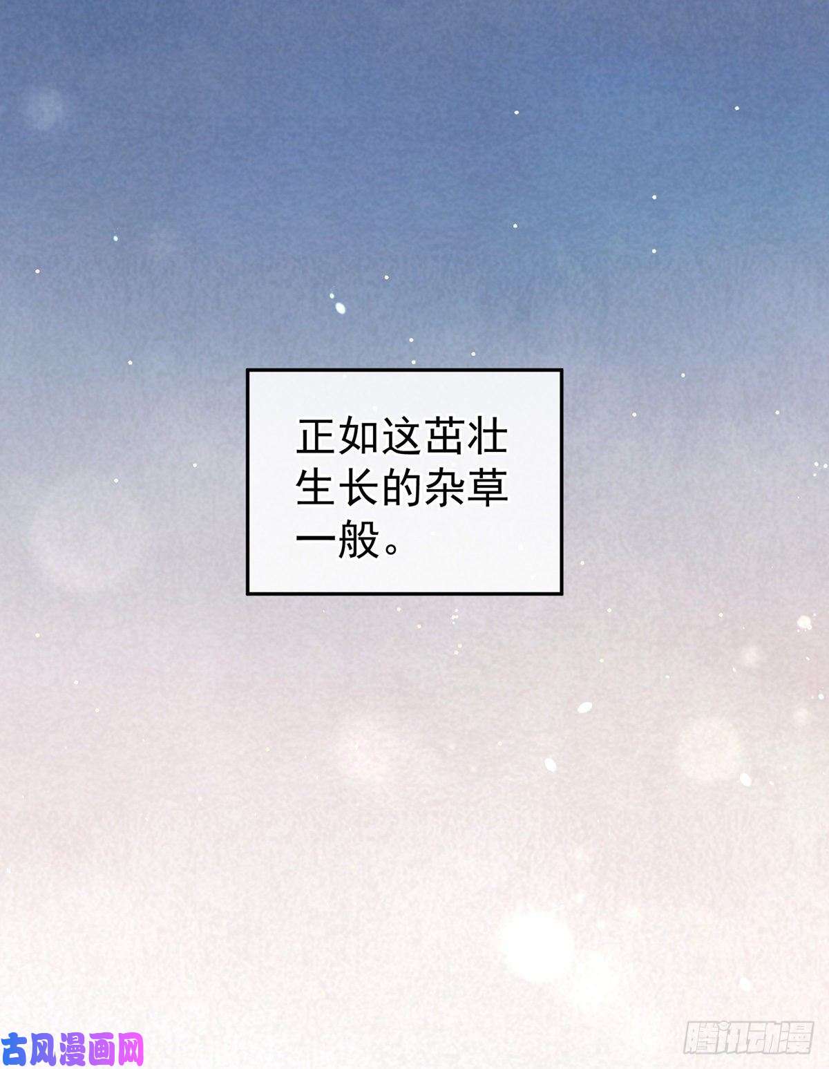 女帝的后宫殓心入棺