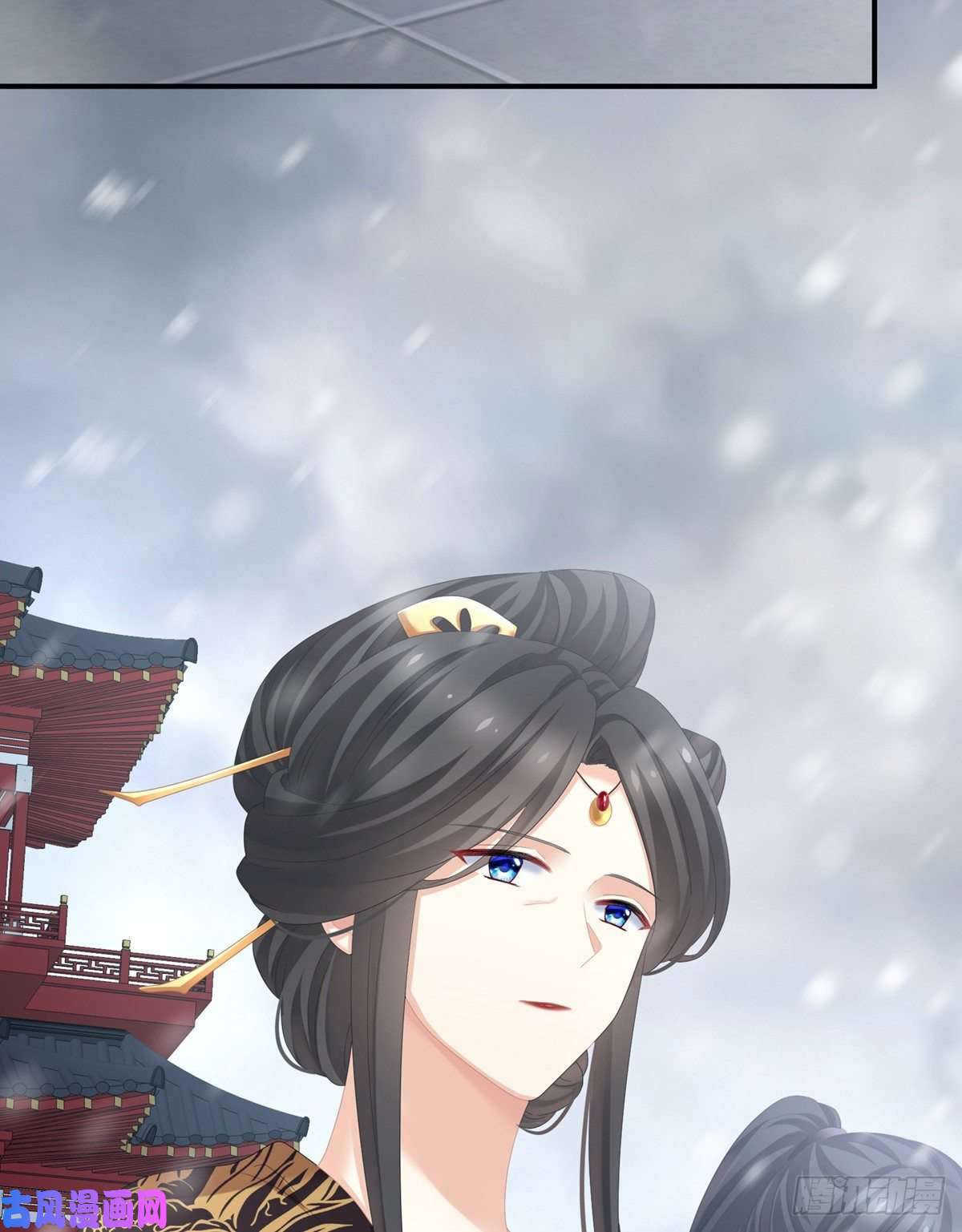女帝的后宫感受我