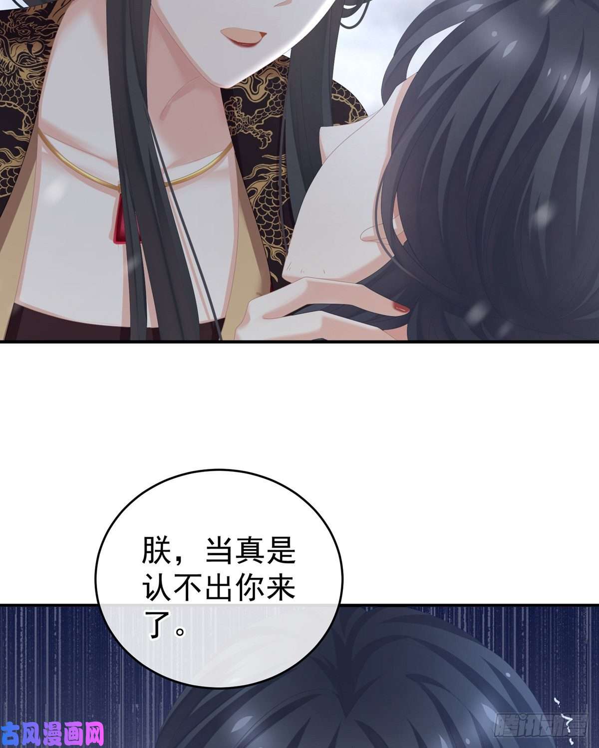 女帝的后宫美人迟暮