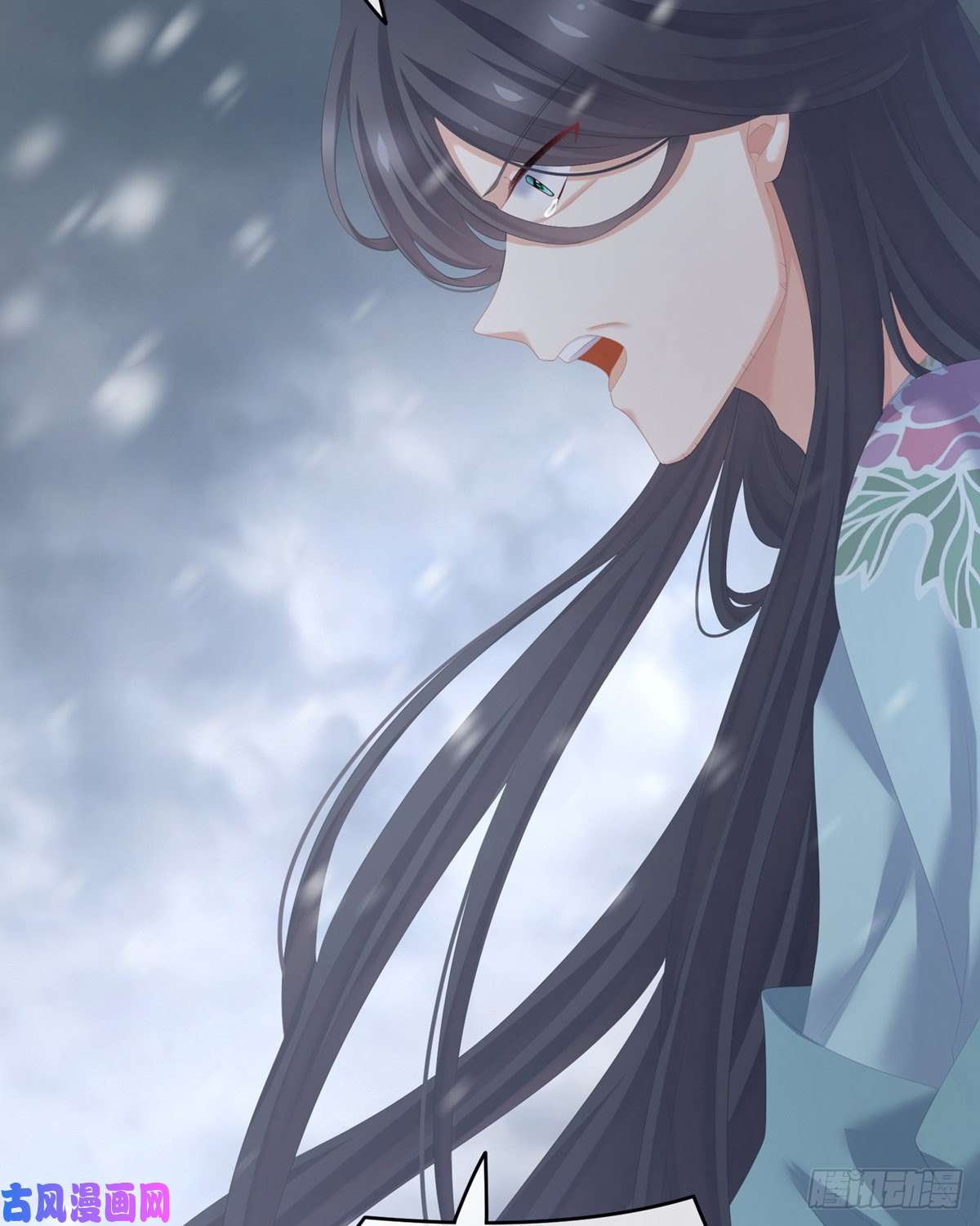 女帝的后宫美人迟暮