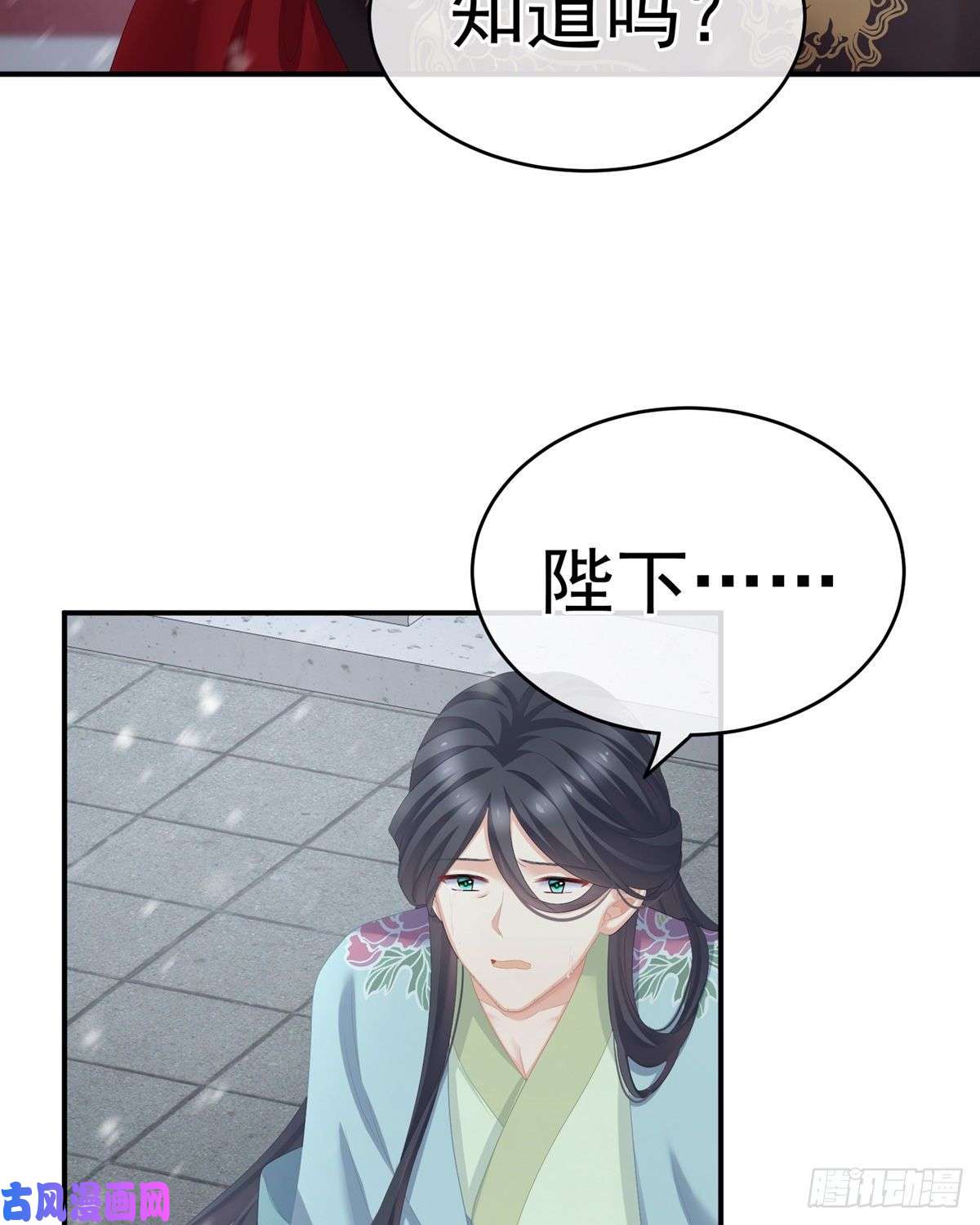 女帝的后宫美人迟暮
