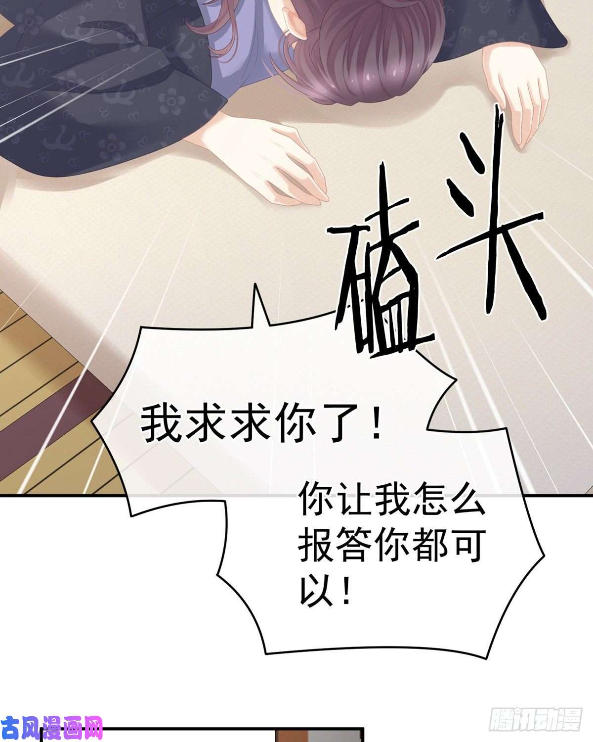 女帝的后宫覆巢之下，安有完卵