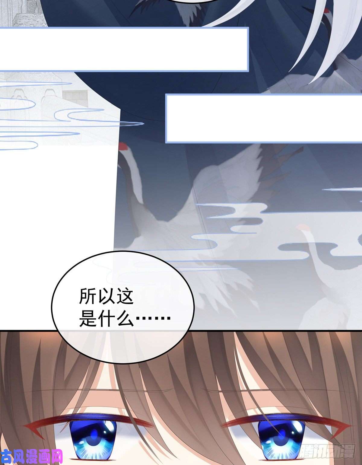 女帝的后宫反正你碰不了女人