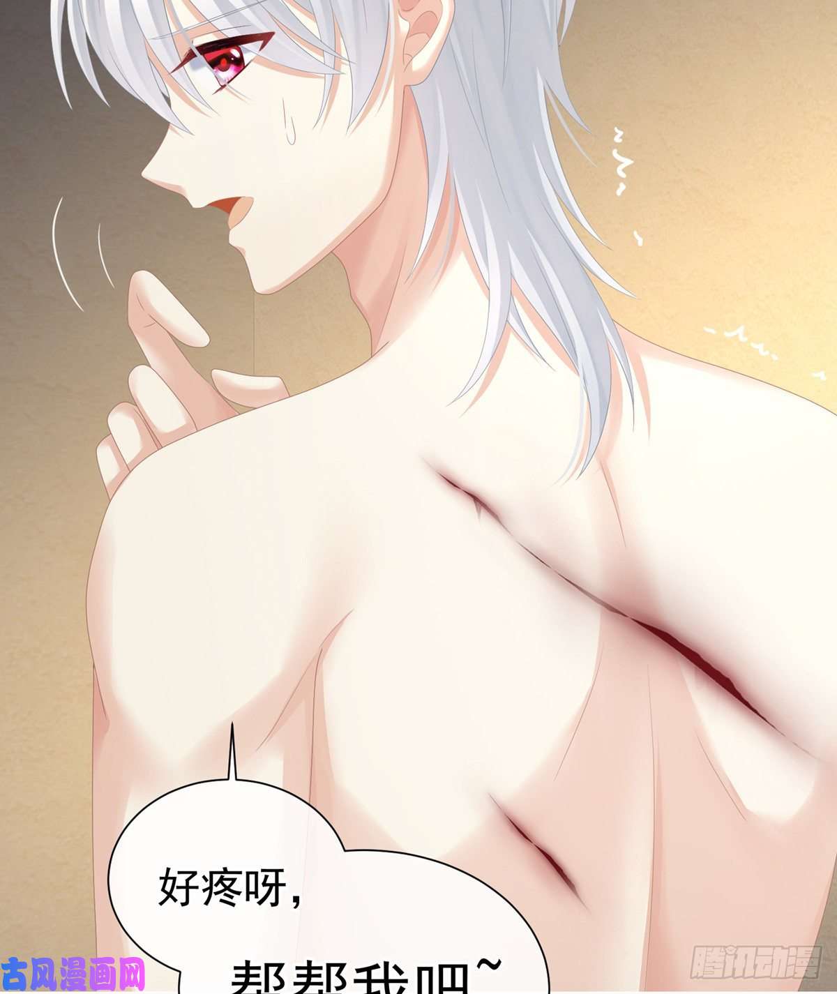 女帝的后宫洗白白