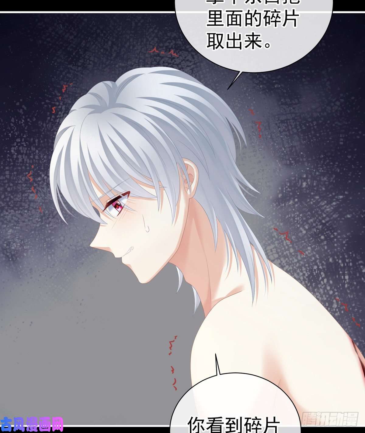 女帝的后宫洗白白