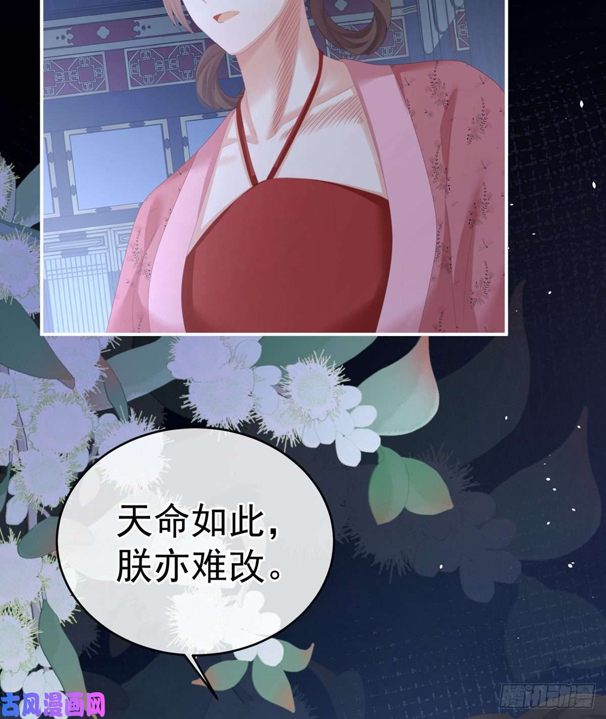 女帝的后宫星泽出嫁