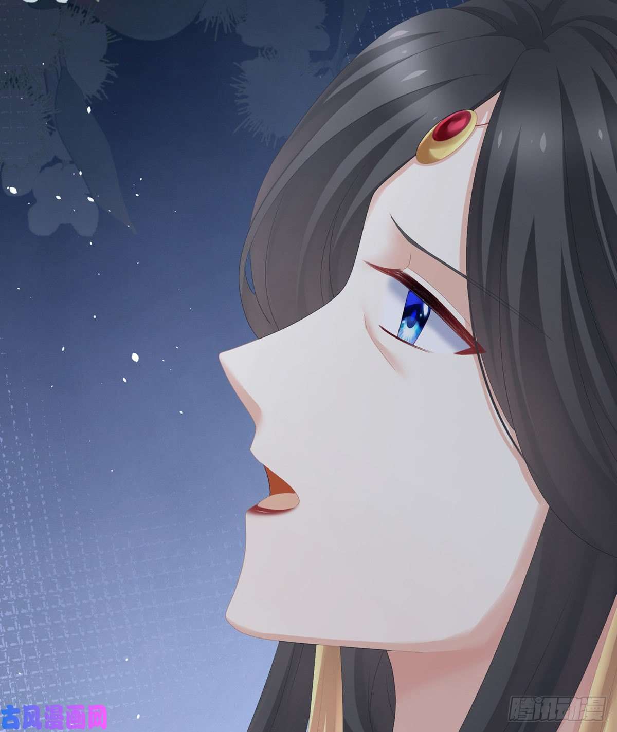 女帝的后宫星泽出嫁