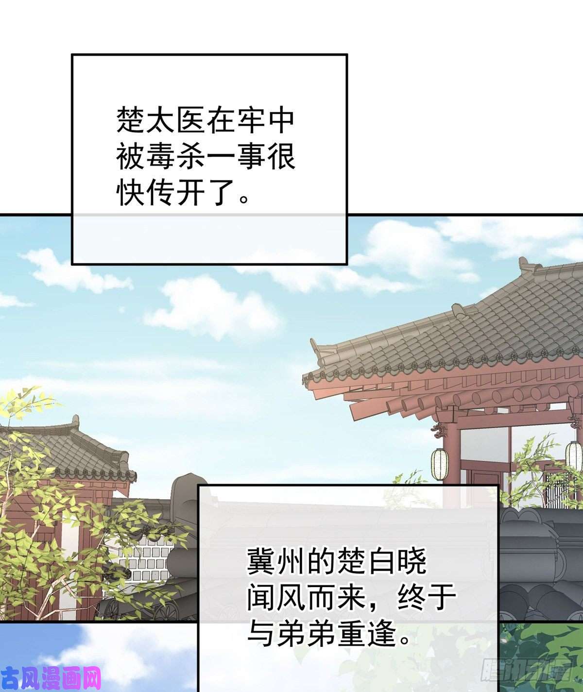 女帝的后宫星泽出嫁