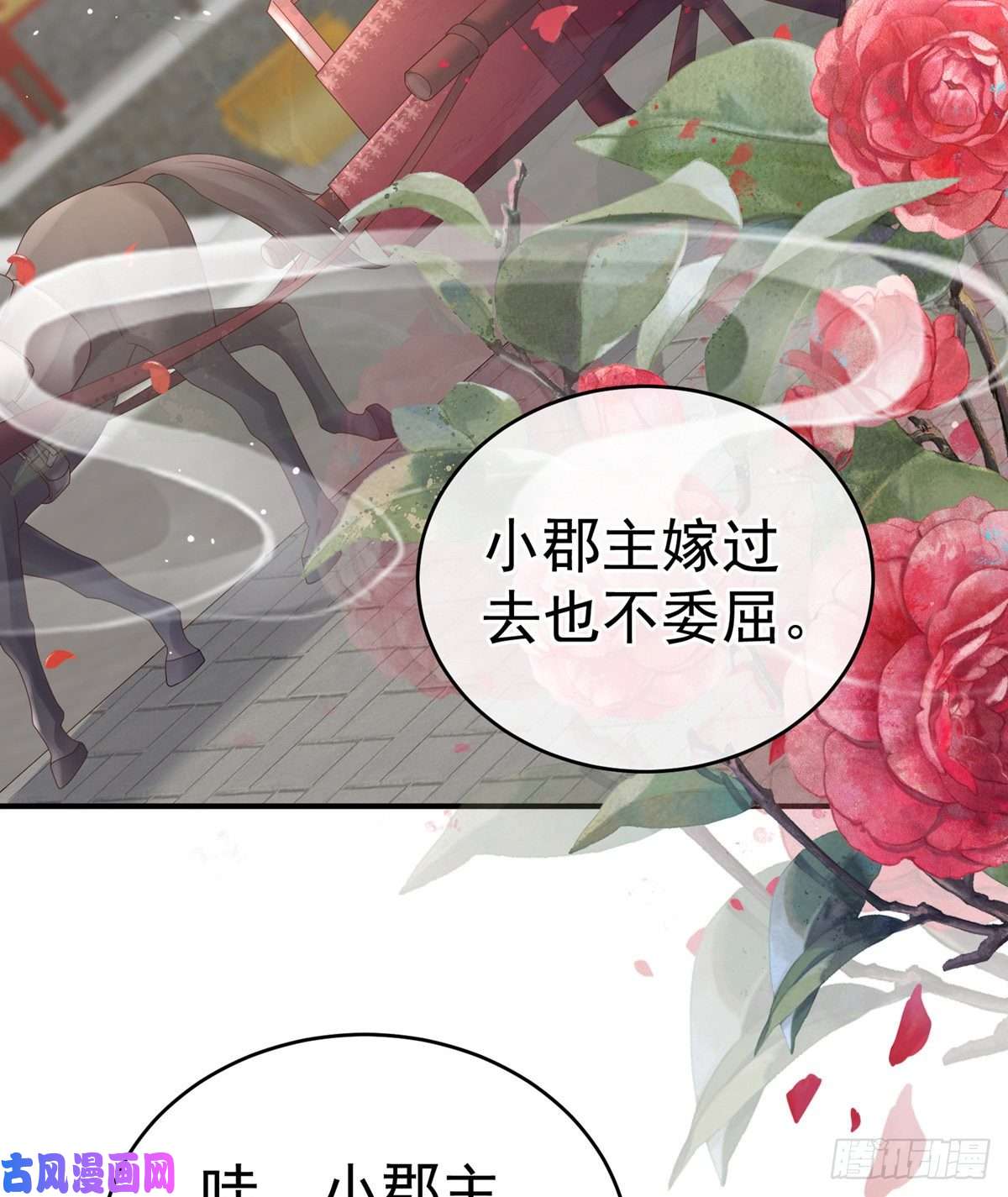 女帝的后宫星泽出嫁