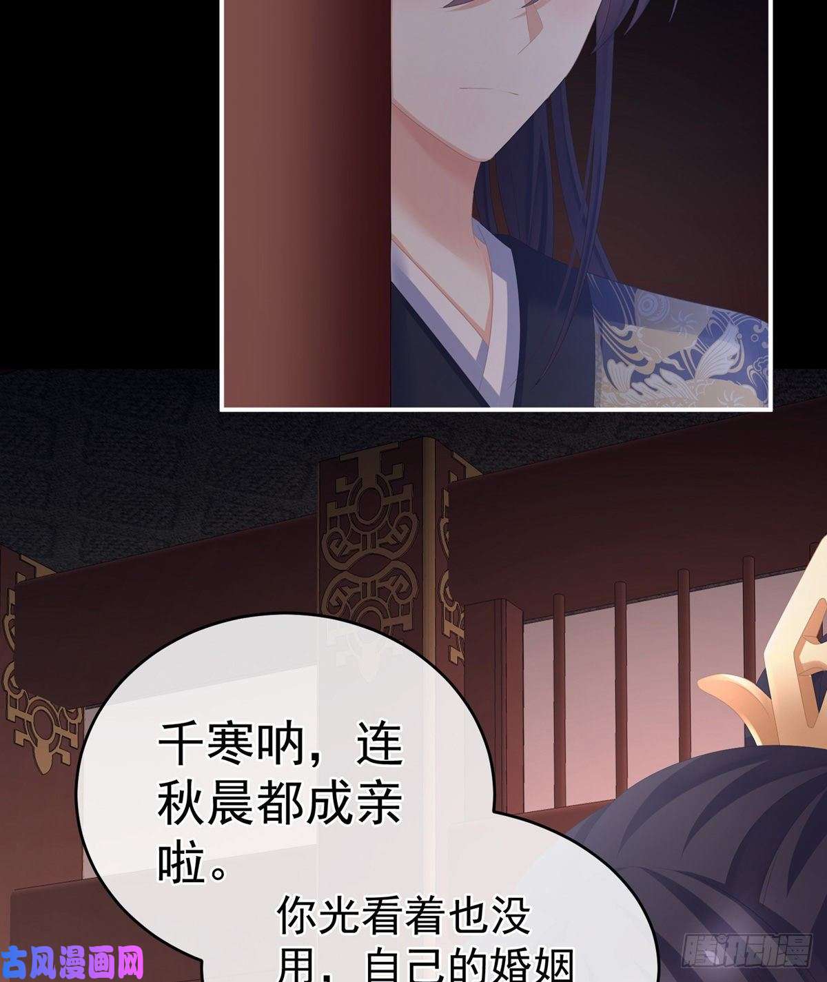 女帝的后宫要跟寒寒扯绣球