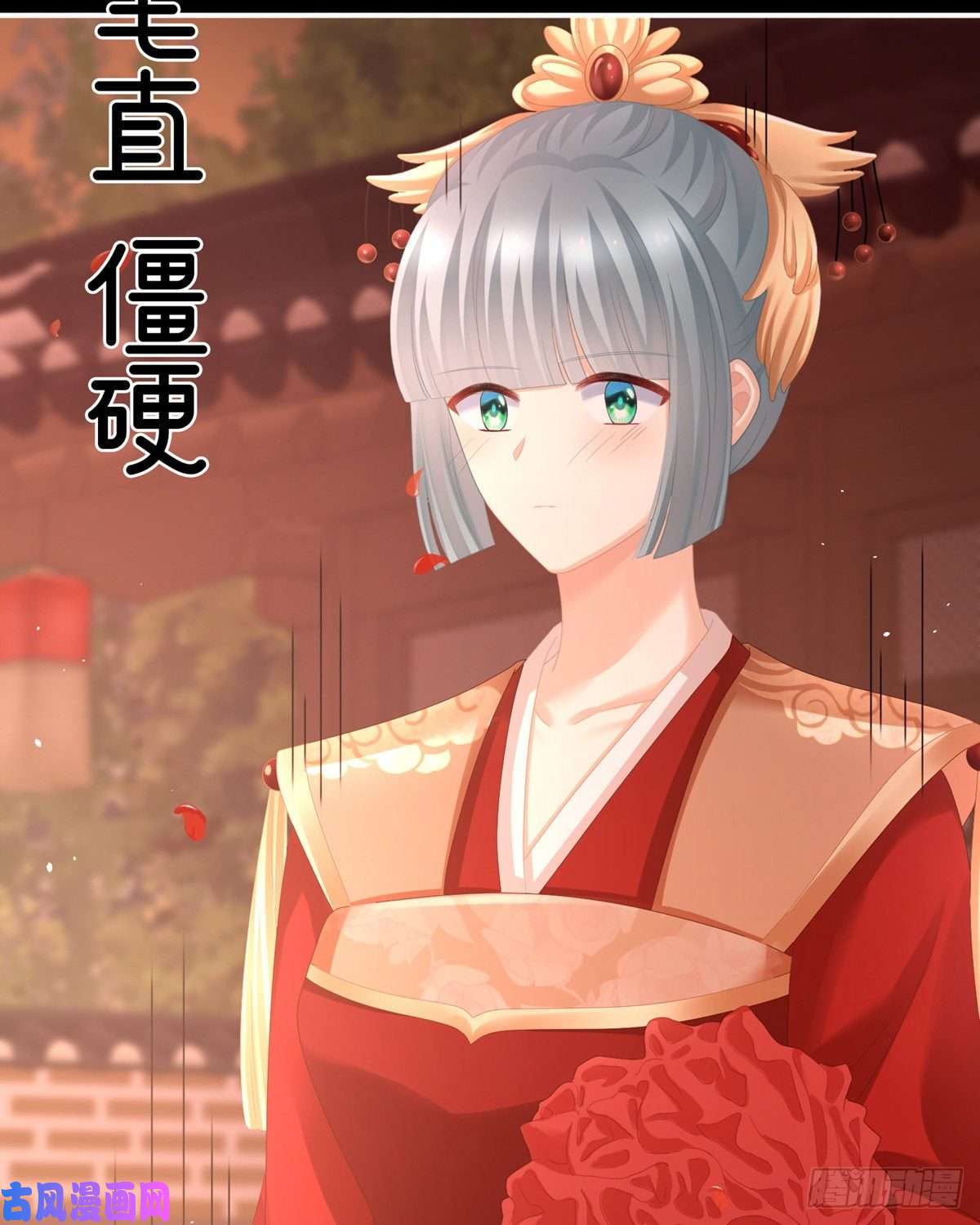 女帝的后宫要跟寒寒扯绣球