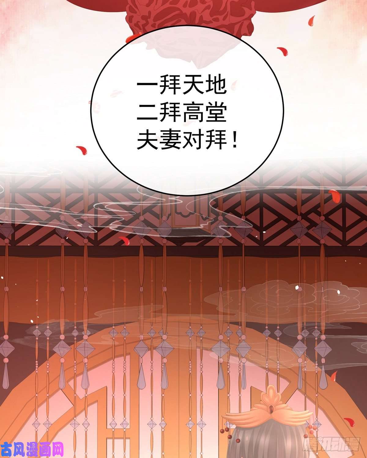女帝的后宫要跟寒寒扯绣球