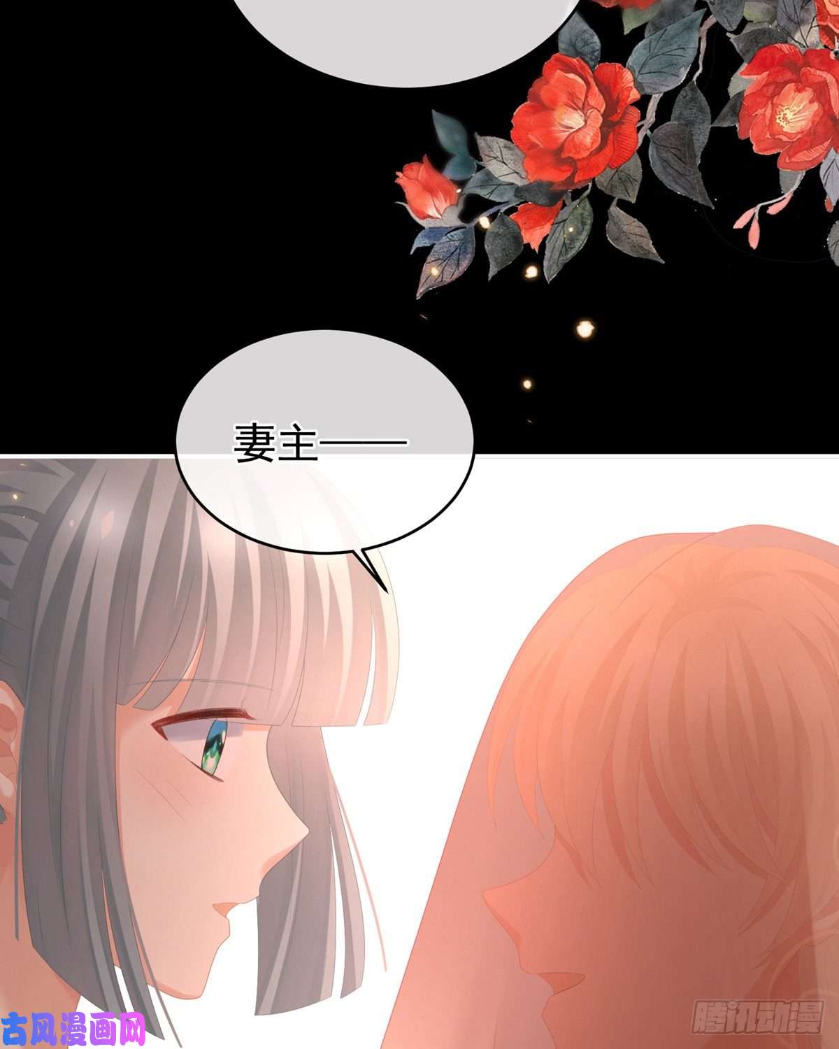 女帝的后宫要跟寒寒扯绣球