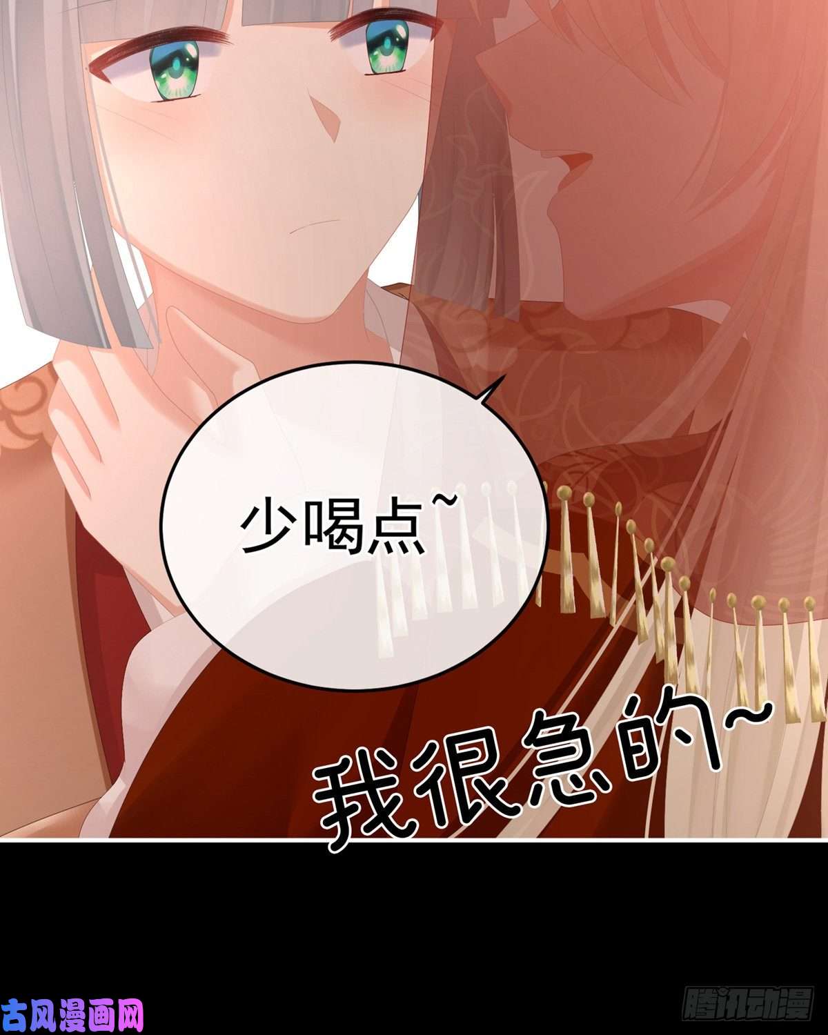 女帝的后宫要跟寒寒扯绣球