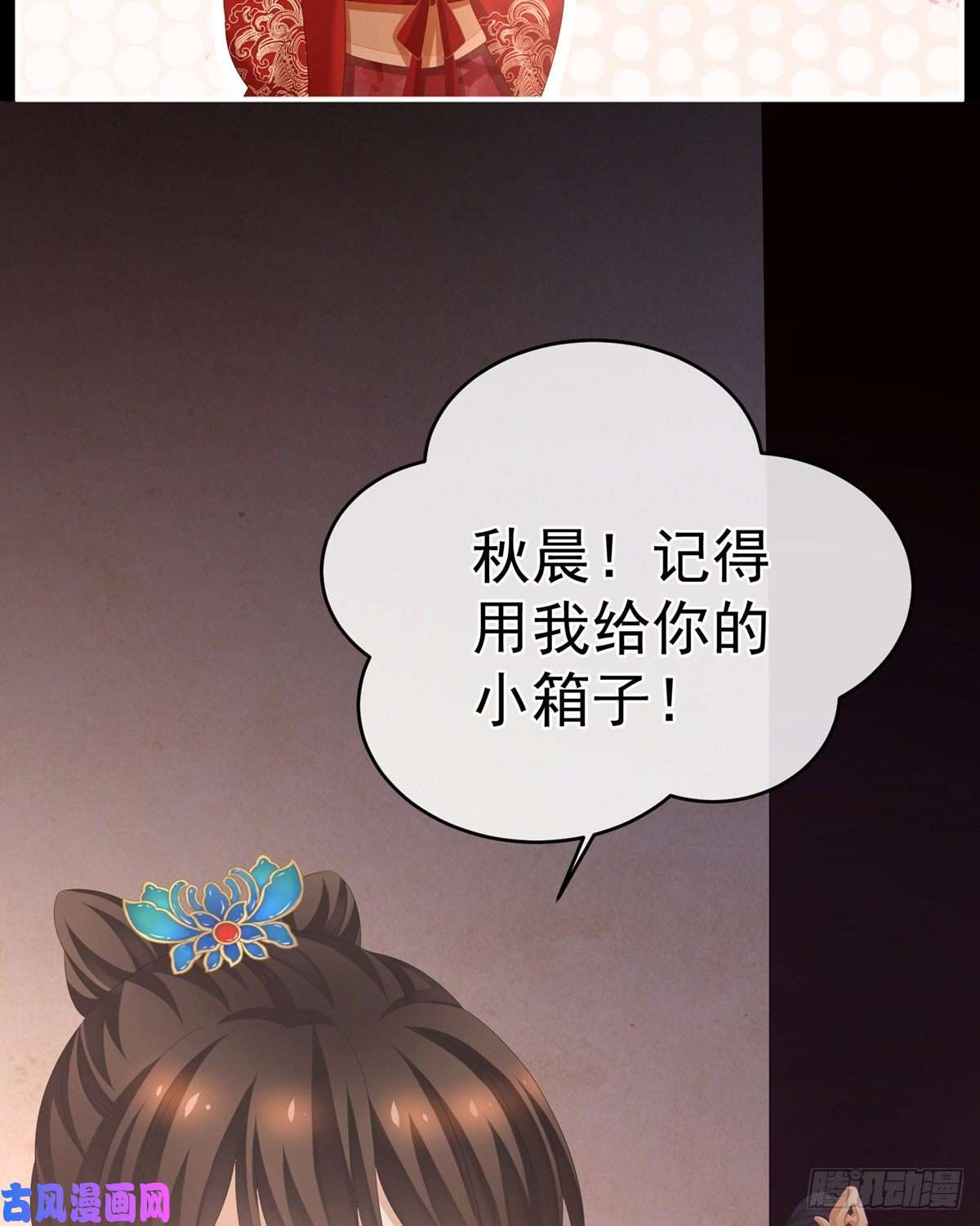 女帝的后宫要跟寒寒扯绣球