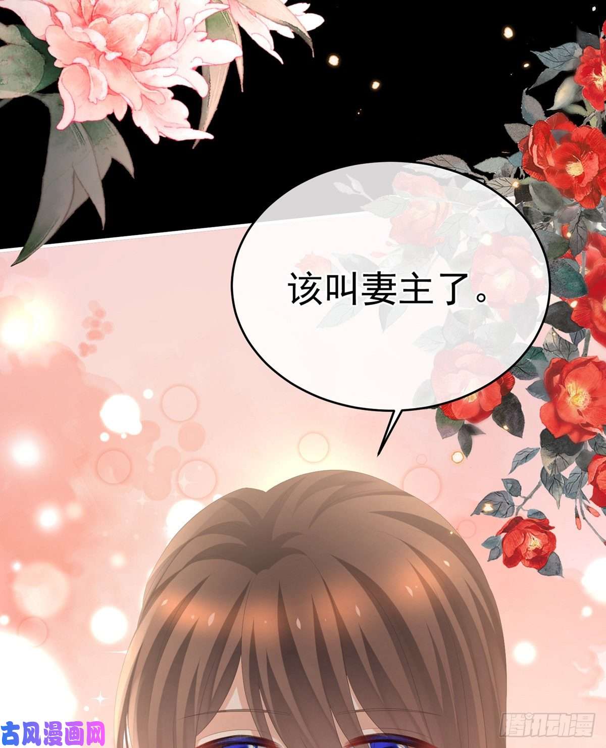 女帝的后宫给楚楚褪朱