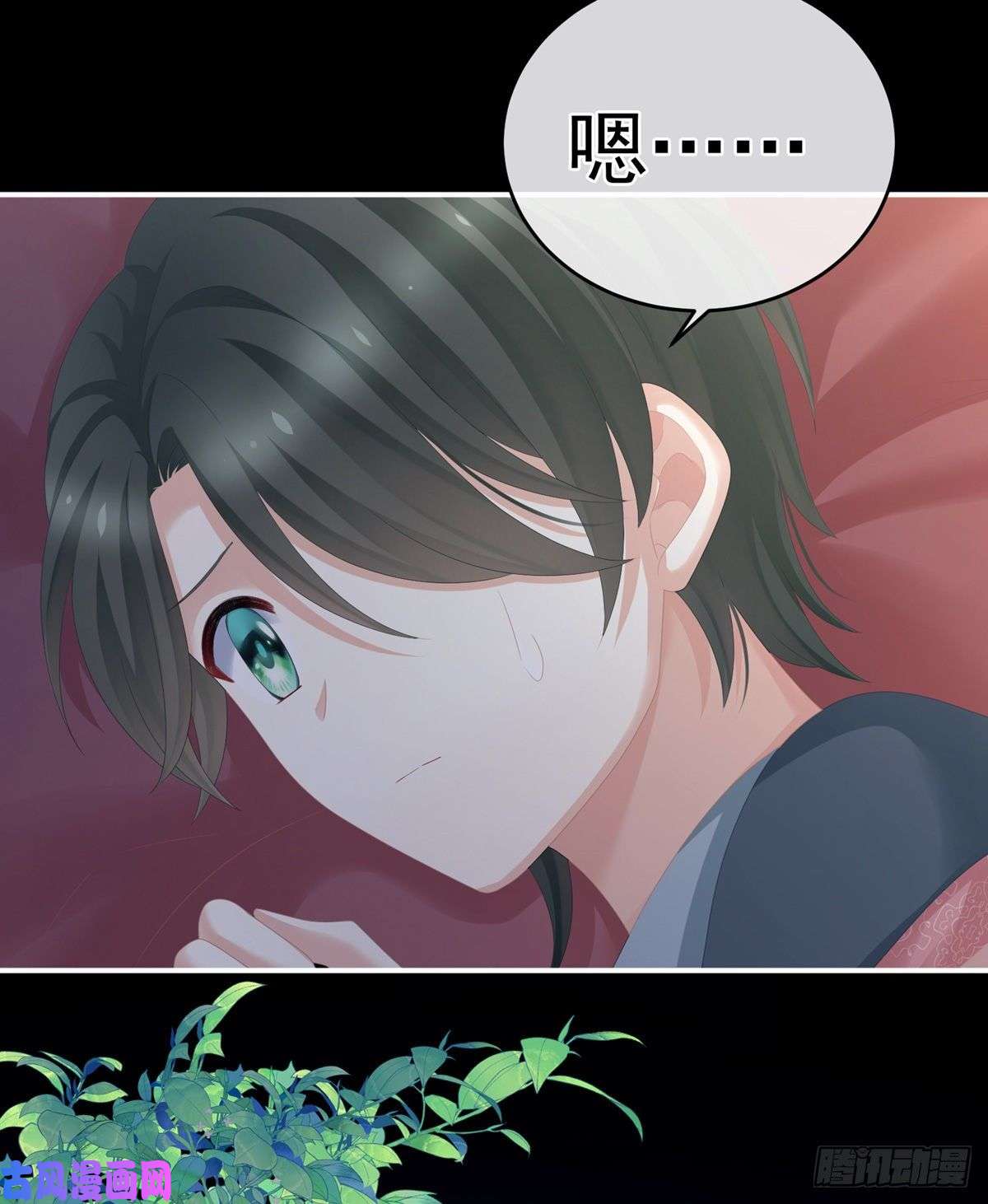 女帝的后宫有孕