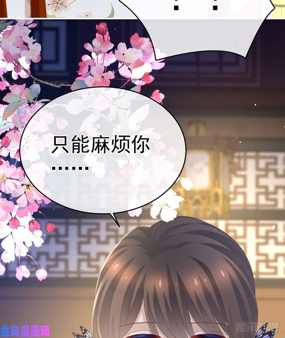女帝的后宫官宣孩子爹