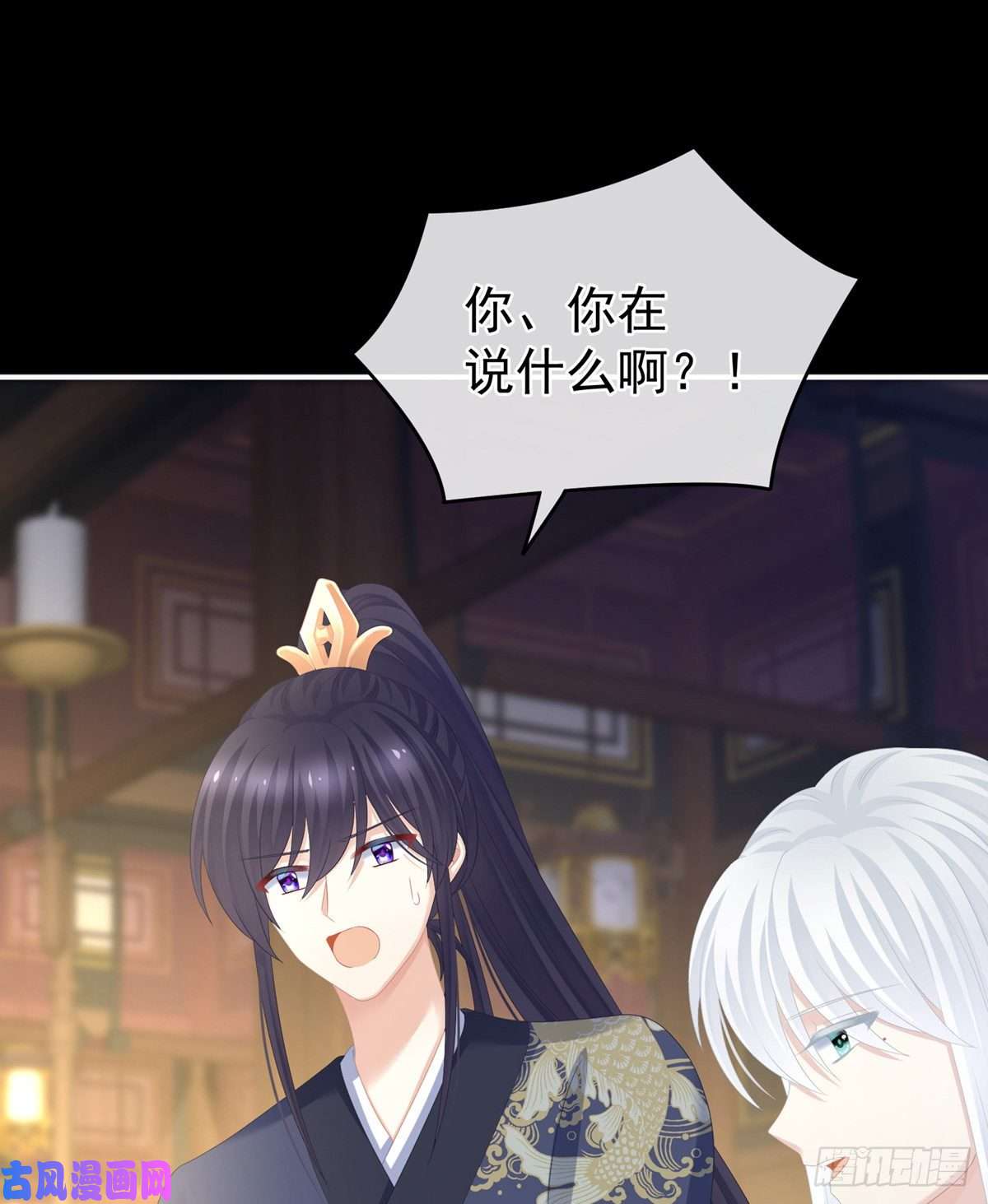 女帝的后宫官宣孩子爹